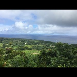 Meet your Posher, Cassie